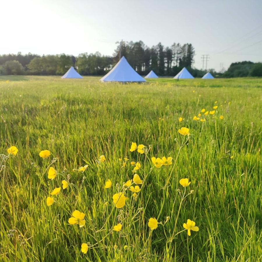 Dorset Glamping Fields Hotel Corfe Mullen Bagian luar foto